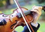 200x150_shasta-fiddle.jpg